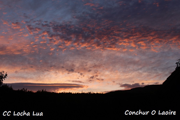Conchur 4 (1)