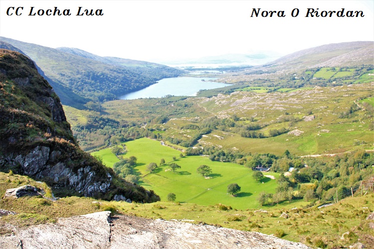Nora 1 (3)