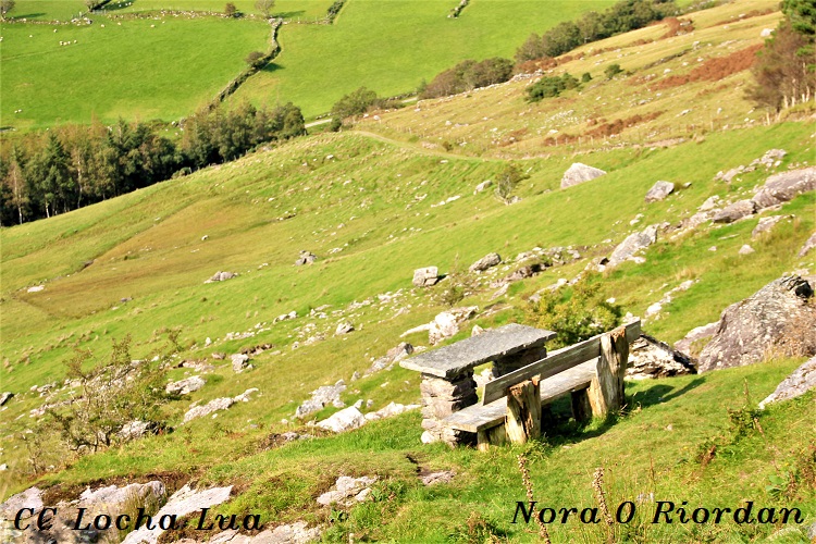 Nora 3