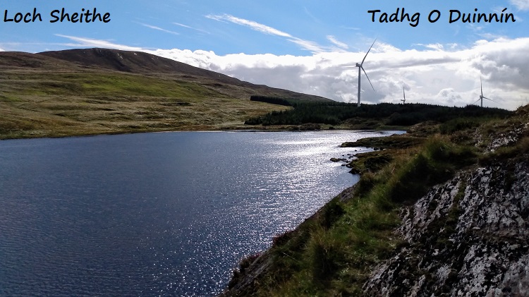Tadhg 1