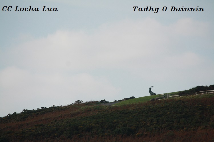 Tadhg 2 (2)