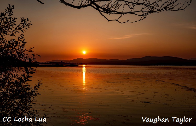 Vaughan 1 (2)
