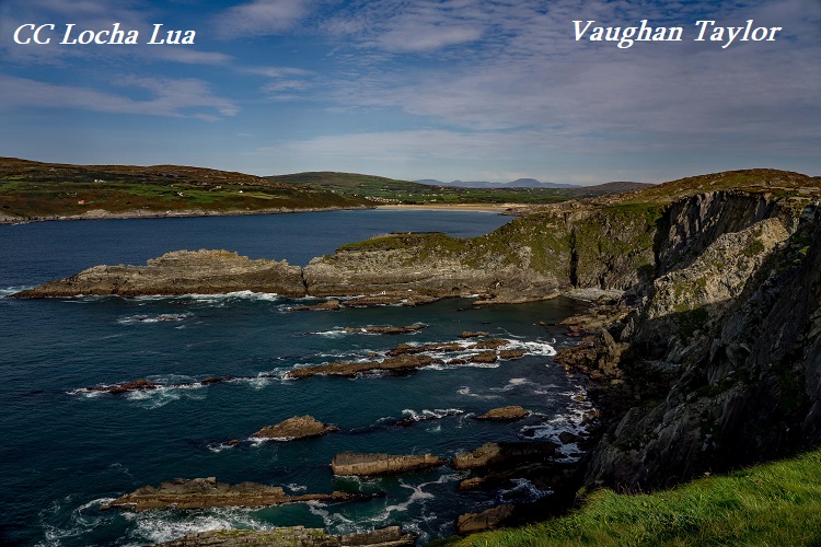Vaughan 3