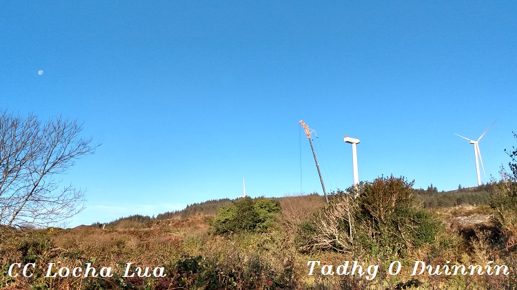 Tadhg 3 (1)