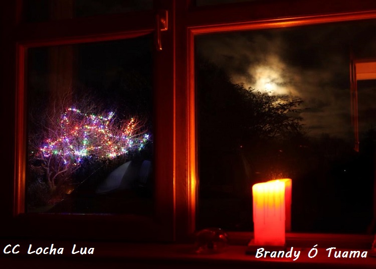 Brandy