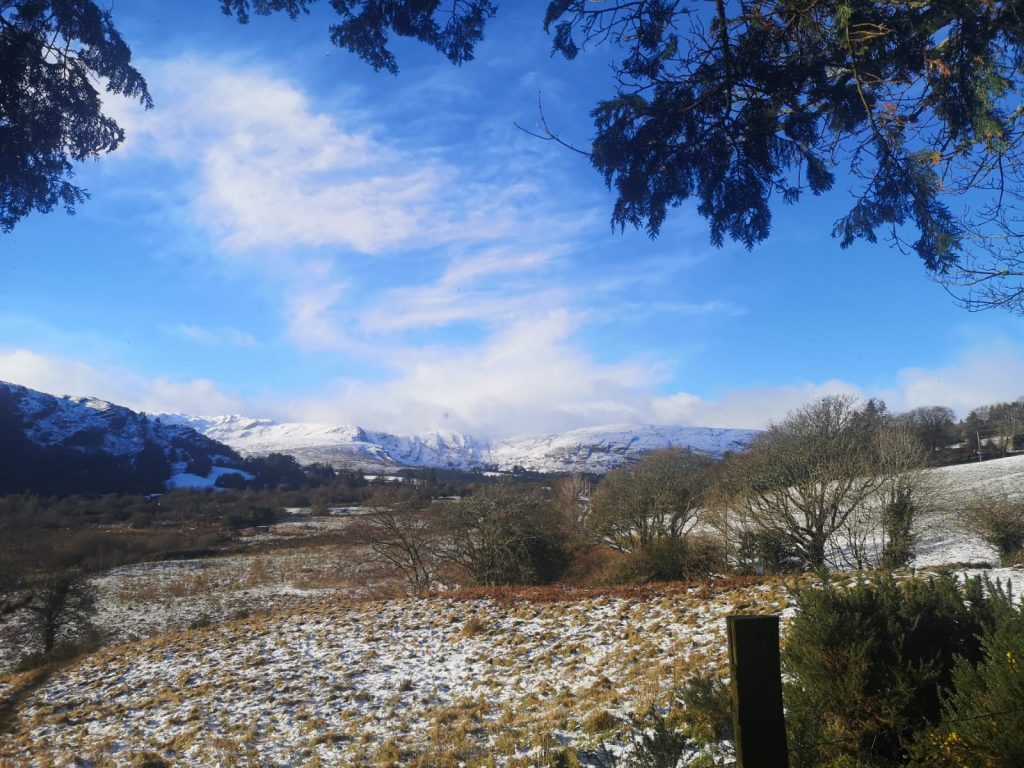 IMG-20210203-WA0008