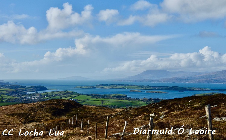 diarmuid 2